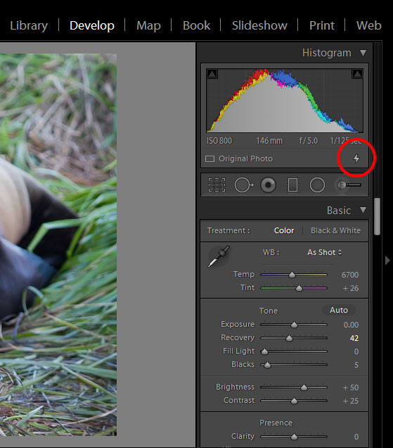 lightroom-lighning-bolt