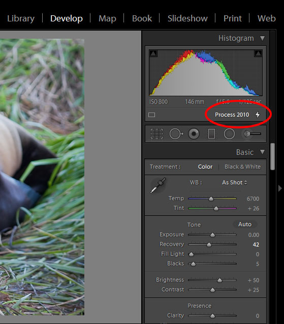 lightroom-process-2010